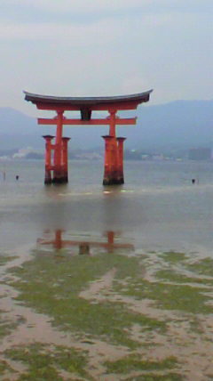 c0090100_11232396.jpg