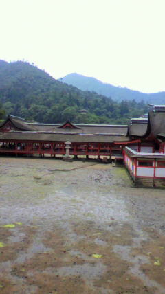 c0090100_11251982.jpg