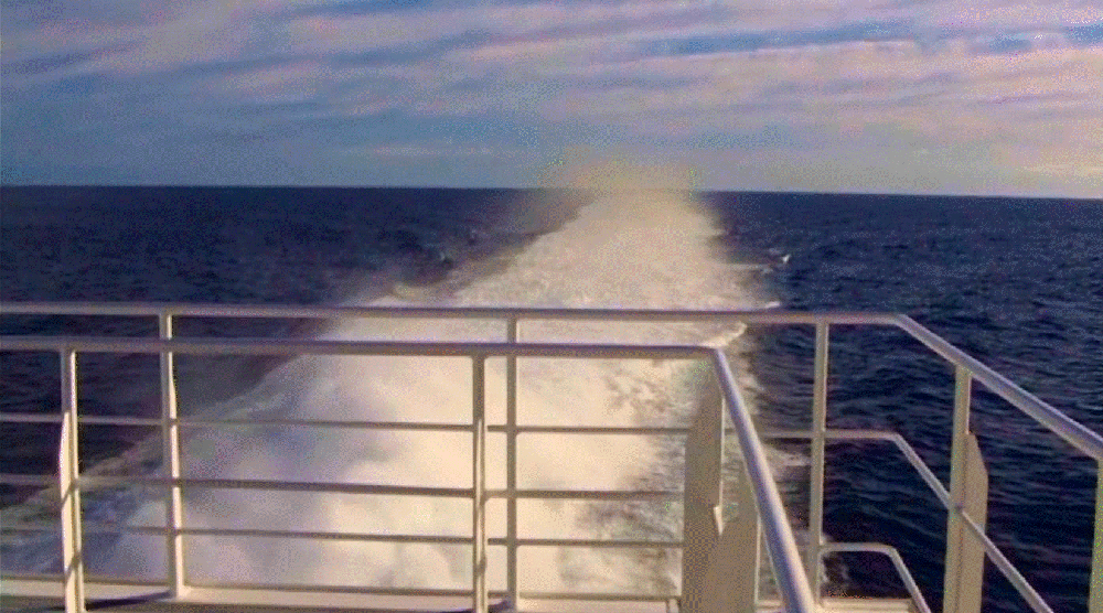 b0165802_7291999.gif