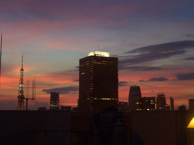 a0161409_1235492.jpg