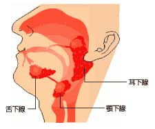 筋繊維痛症・シェーグレン・尿漏れ・その他も薬の副作用?_e0097212_23383868.jpg