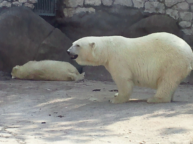 a0151913_4235889.jpg