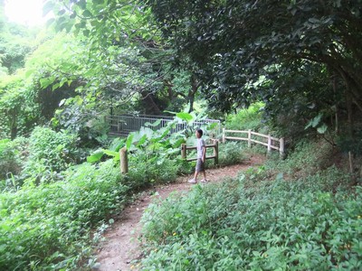f0178416_17551330.jpg