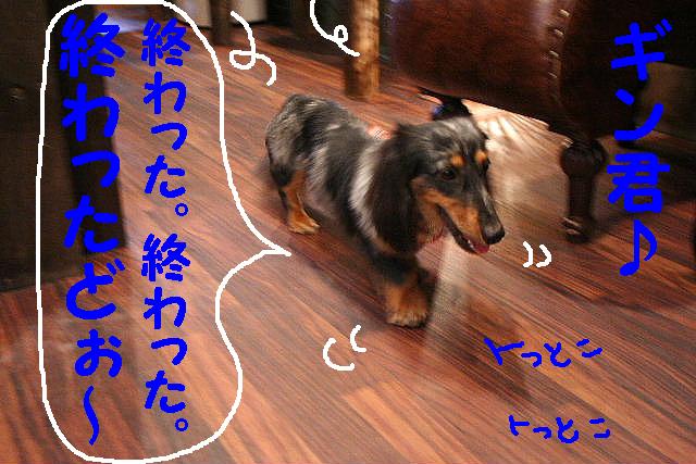 そ～だ！そ～だ！！_b0130018_99068.jpg