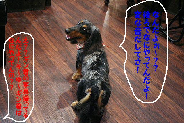 そ～だ！そ～だ！！_b0130018_99657.jpg