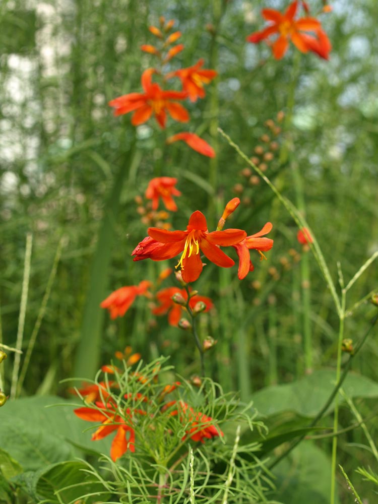c0145418_21253145.jpg