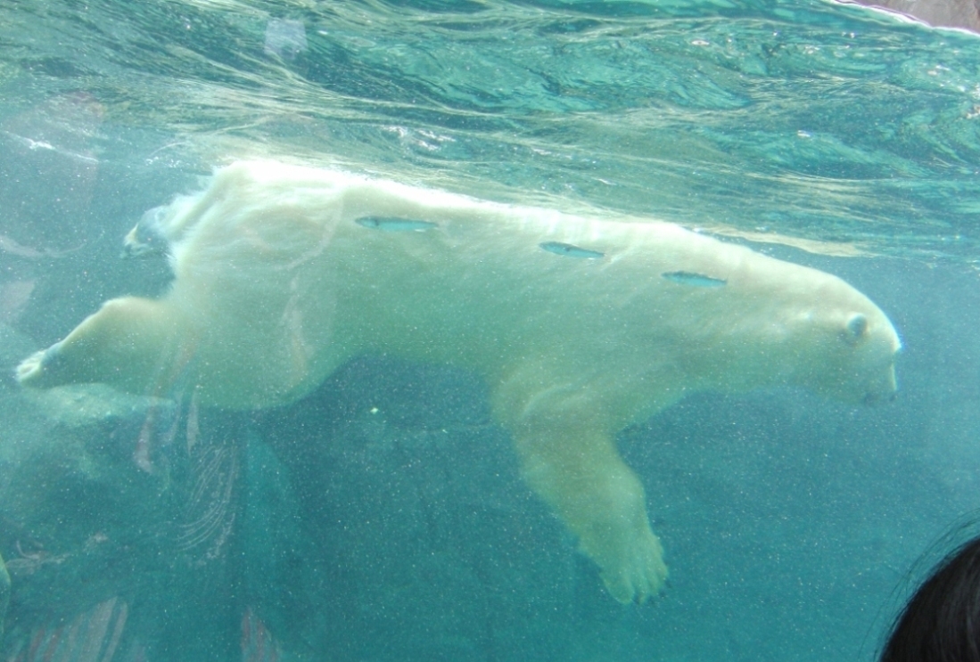 e0163618_23422813.jpg