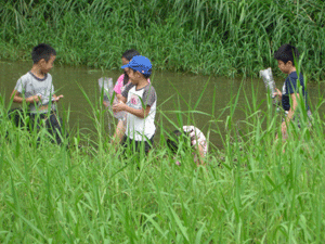 f0121321_12272789.gif