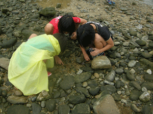 f0121321_12273542.gif