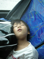 f0121321_12291161.gif