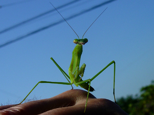 c0147123_1016942.jpg
