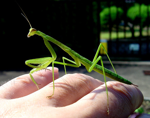 c0147123_1018125.jpg