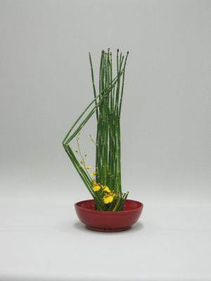 百聞は一見にしかず_c0165824_14215428.jpg