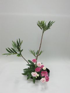 百聞は一見にしかず_c0165824_1424125.jpg