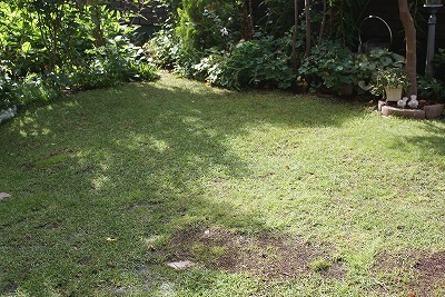 f0170524_9304622.jpg