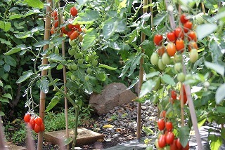 f0170524_9321591.jpg