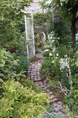 f0170524_945118.jpg
