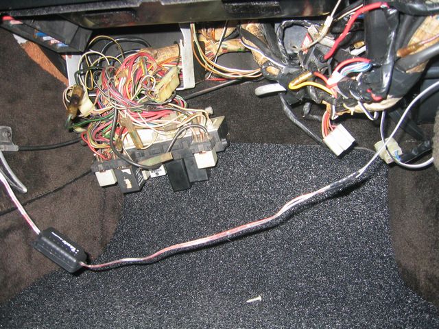 ポルポル君再度緊急入院 ペナンの田舎バリプラウに暮らす 名前変更