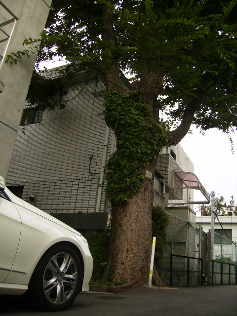 f0204425_2041245.jpg