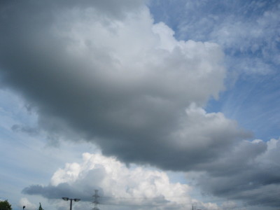 d0156029_854248.jpg