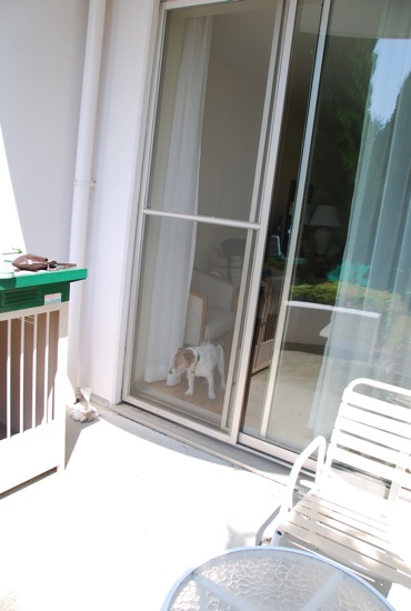 愛犬と旅行(6月のこと) その2_c0099133_0552632.jpg