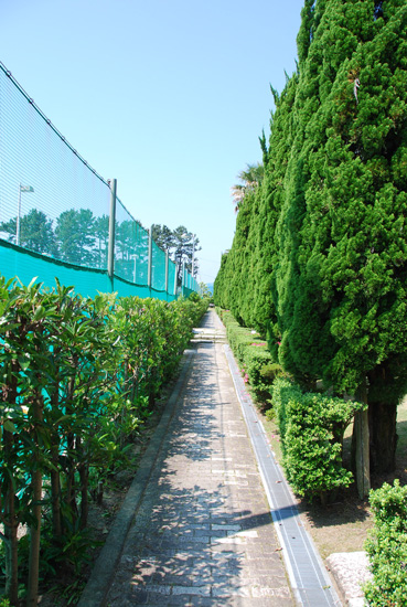 愛犬と旅行(6月のこと) その2_c0099133_0564582.jpg