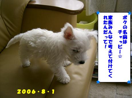 c0212637_4434851.jpg