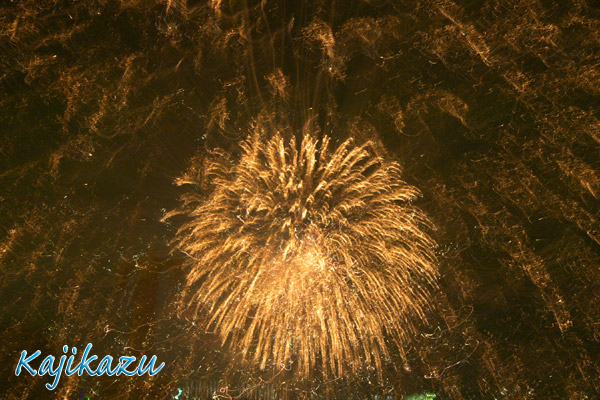 a0166940_942163.jpg