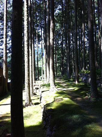 e0119151_2011120.jpg
