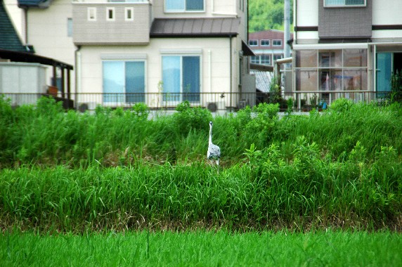 　　郊外にて_b0093754_23341711.jpg