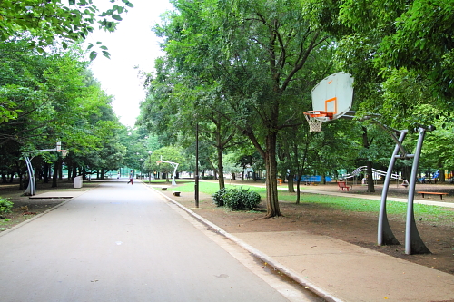 光が丘公園を写真で紹介　赤塚口から遊具まで_b0193563_21111486.jpg