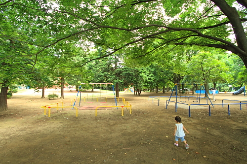 光が丘公園を写真で紹介　赤塚口から遊具まで_b0193563_2115385.jpg