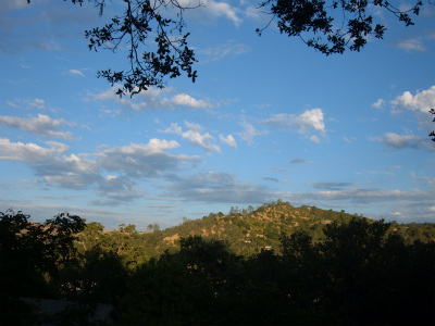 a0080368_1310913.jpg