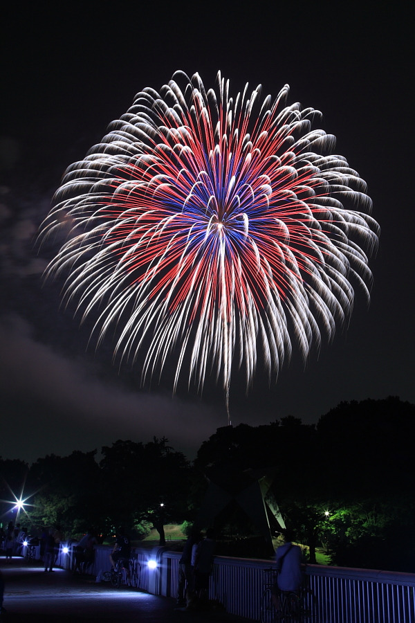 西武遊園地花火　2010_b0136781_23563581.jpg