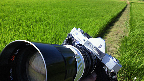 ◆PETRI V6(1965) +PETRI Zoom C.C.auto 85-210mm F4.8 ~水田の風景_e0174382_10484624.jpg