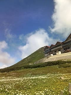 d0077483_21562113.jpg
