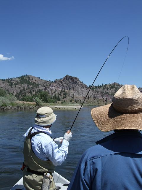 f0137499_16475444.jpg