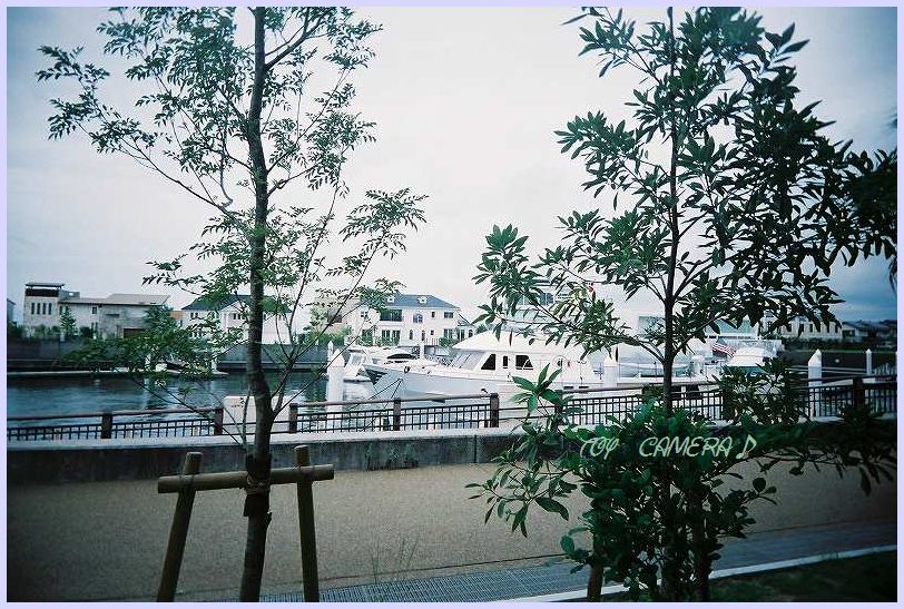 d0091700_14134886.jpg