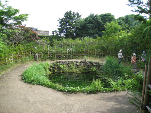 d0038301_2093564.jpg