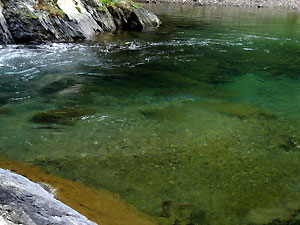 e0118904_22274766.jpg
