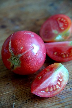 Reportage sur notre jardin 2010 (3)/5 ; Sept variétés de tomates ..._a0113208_8321192.jpg