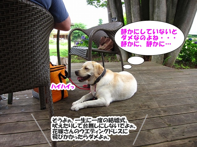 ピクニック_e0192217_1651333.jpg