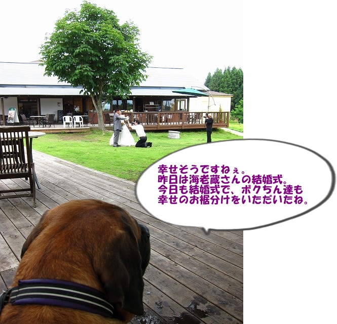 ピクニック_e0192217_1653256.jpg