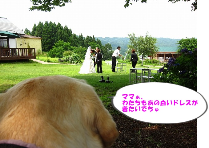 ピクニック_e0192217_1654515.jpg