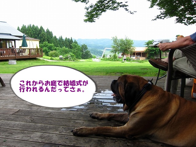 ピクニック_e0192217_165644.jpg