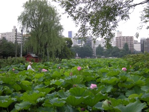 d0006422_03275.jpg
