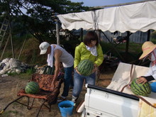 名古屋からワークステイに来てくれました(その1)_e0061225_13521011.jpg