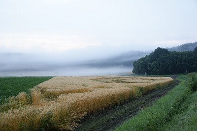 c0134029_14443492.jpg