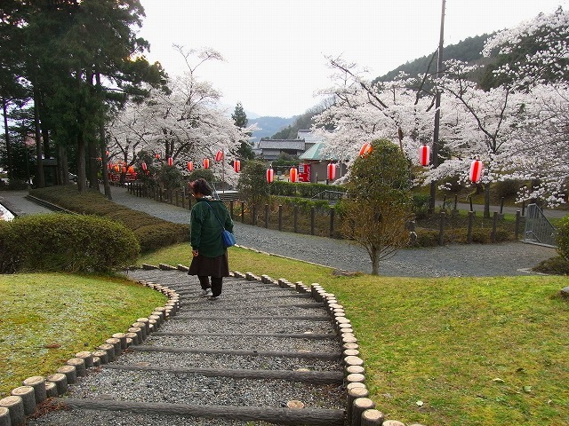 第8回　水分れ公園散策_b0191932_2312561.jpg