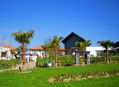 d0017632_03103.jpg